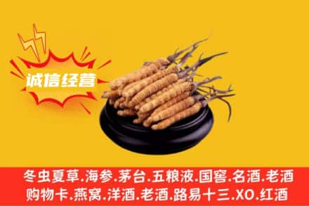 大观区回收冬虫夏草